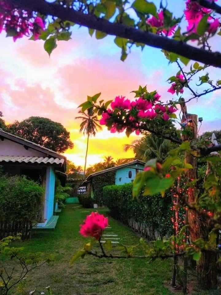 Casa Jasmim Imbassai-Ba Appartement Mata de Sao Joao Buitenkant foto